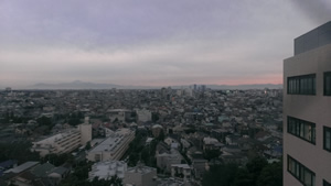 Tokyo City View